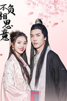 不负相思意第01集