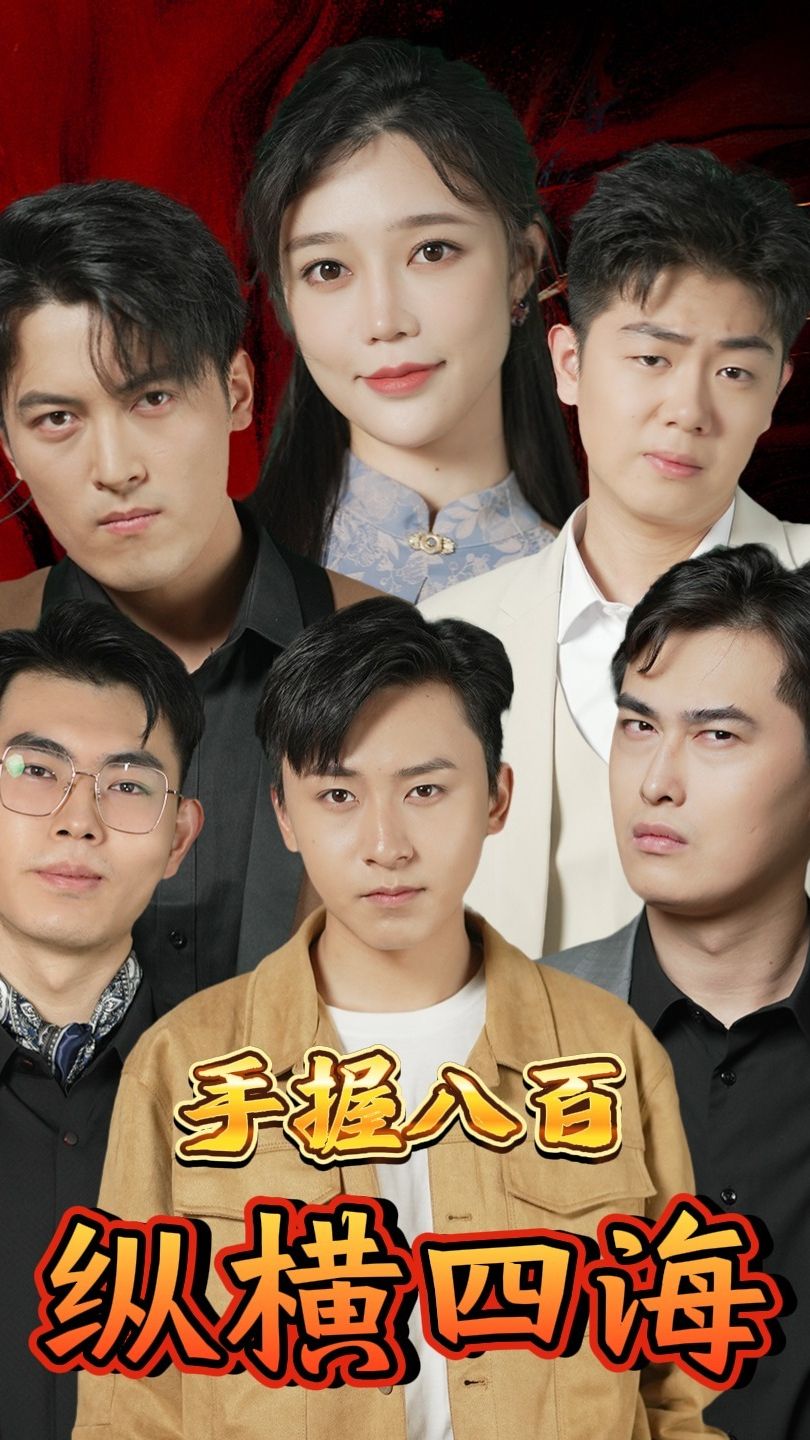 手握八百纵横四海全集