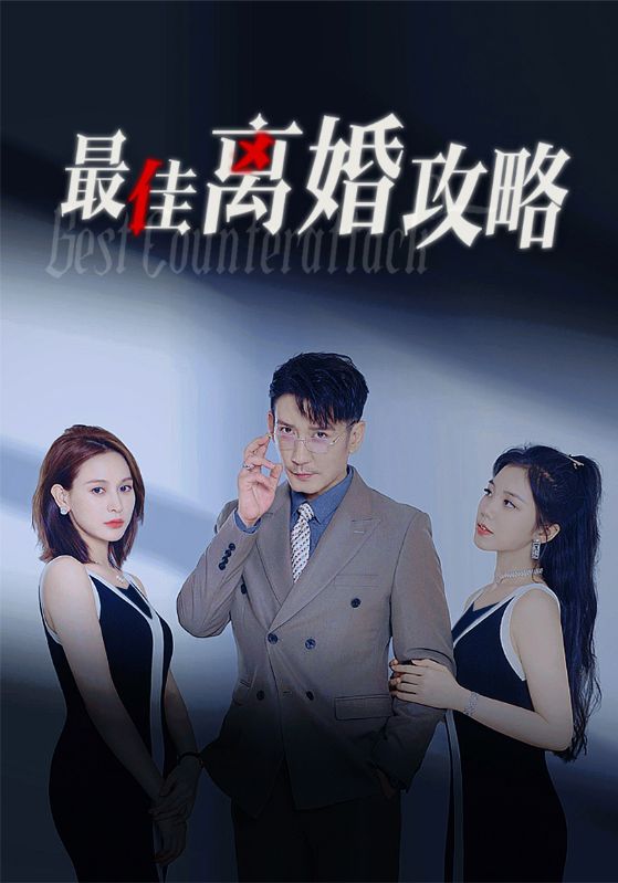 最佳离婚攻略全集(大结局)