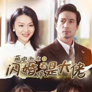 萌宝助攻之闪婚老伴是大佬全集(大结局)