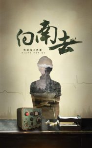 向南去全集(大结局)