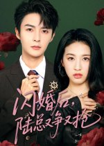 闪婚后陆总又争又抢(全集)