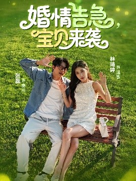 婚情告急，宝贝来袭(全集)