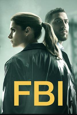 联邦调查局第二季第01集